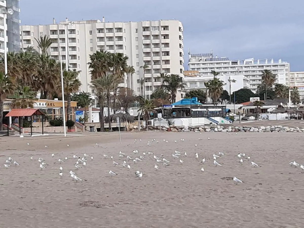 Flamingo Sol Home Torremolinos 0*,